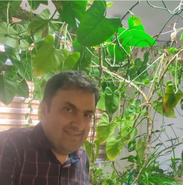 وهب میرباقری